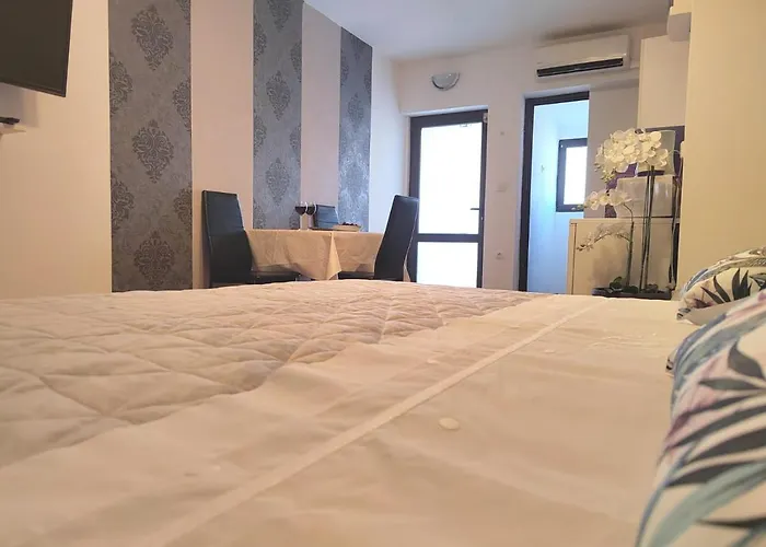 Apartment Mladenka Visnjik